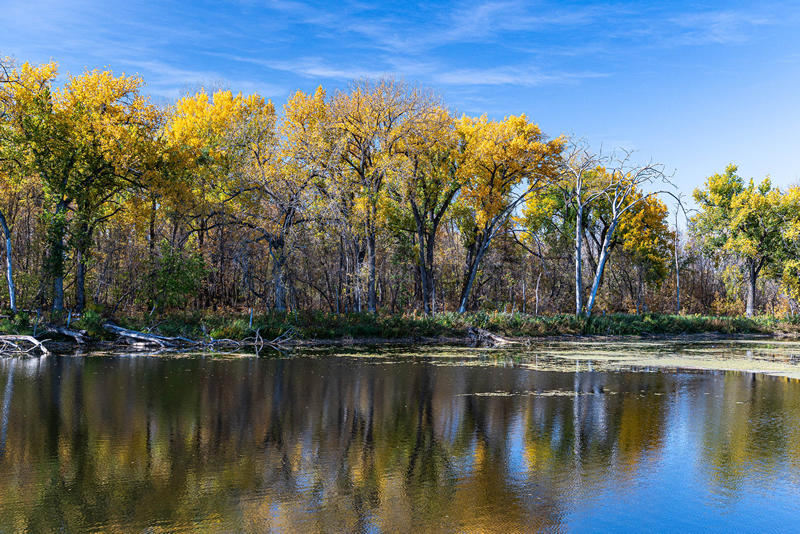 Assiniboine at St Francis Xavier Stino Scaletta